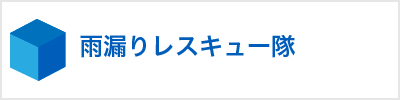 雨漏り・建物調査